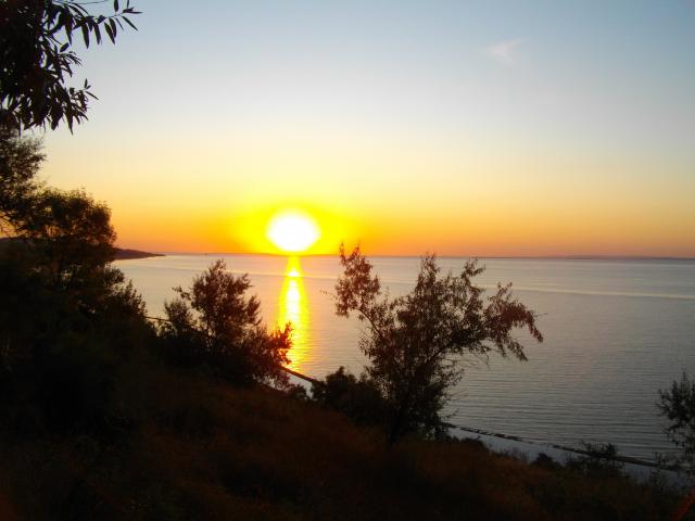 IMGP0128.JPG