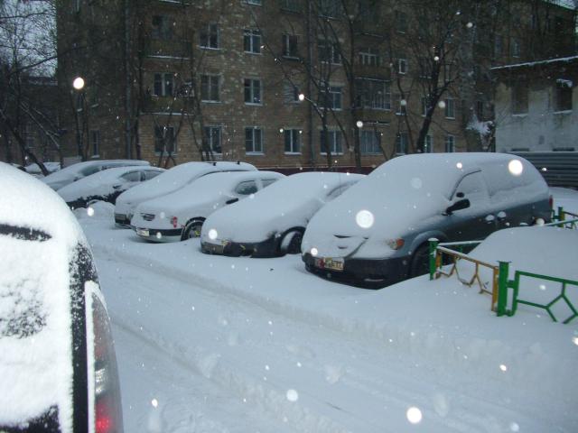 IMGP0431.JPG