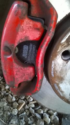 WP_20160411_006.jpg