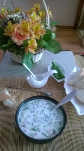 WP_20160626_001.jpg