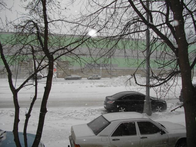 IMGP0295.JPG
