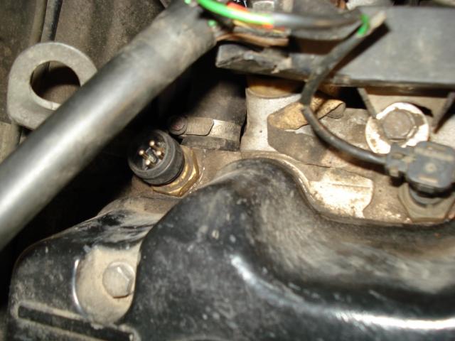 DSC06474.JPG