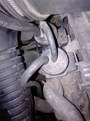 Micromax_Q379_IMG_20170828_192355.jpg