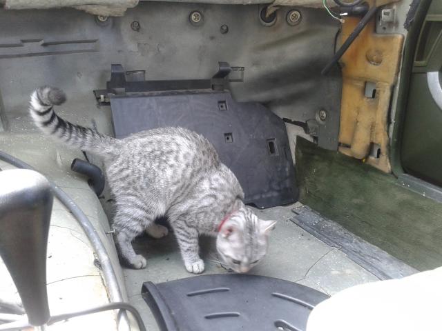 2014_06_04_12.02.46.jpg