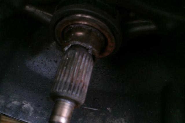 IMAG0070.jpg