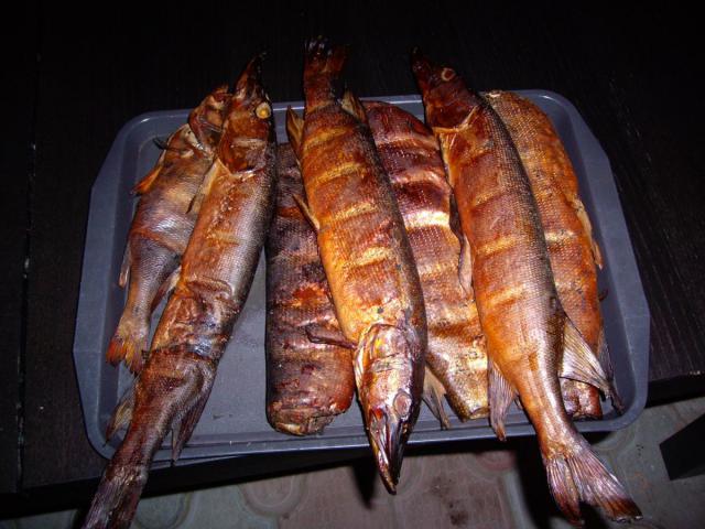 IMGP1025.JPG