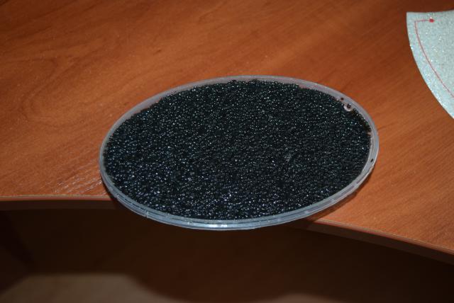 DSC_8737.JPG