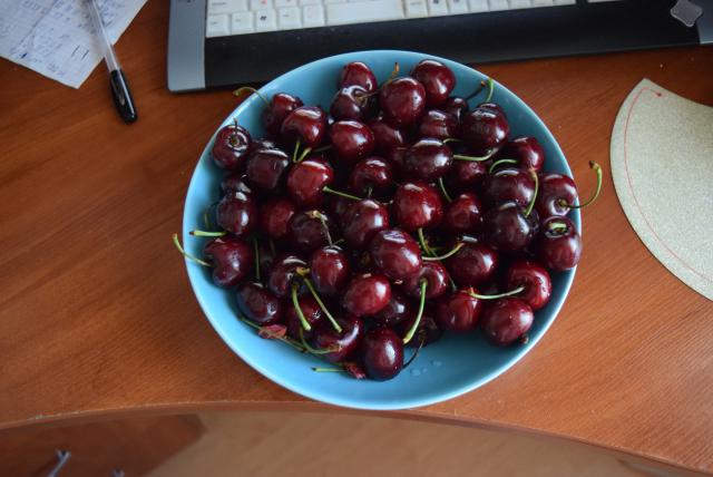 DSC_9695.JPG