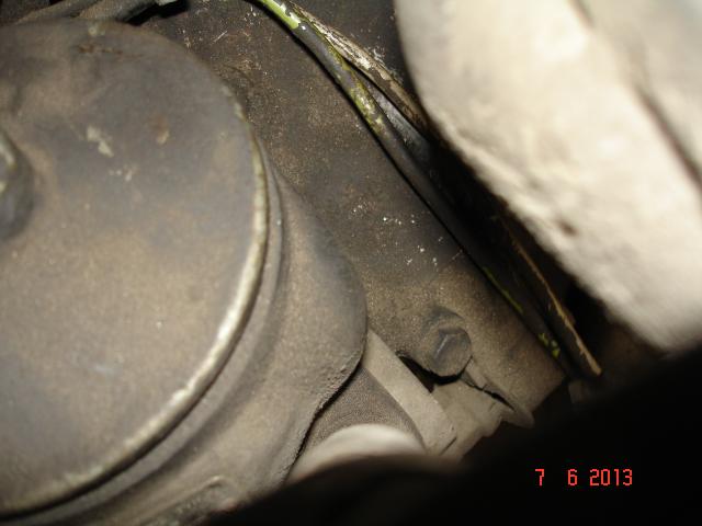 DSC08311.JPG