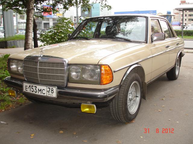 DSC08167.JPG