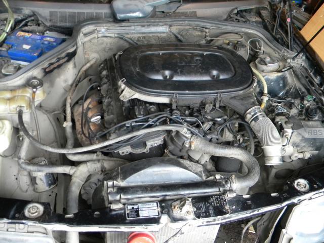 ____________359.jpg