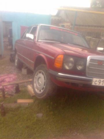 z_02446152.jpg