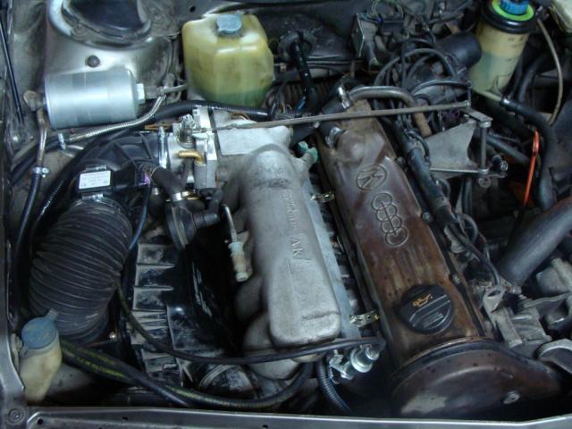 DSC08237.JPG