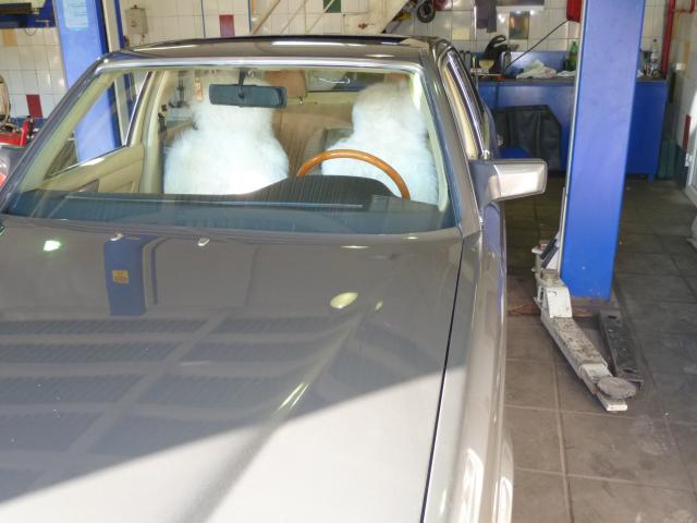 P1020162.JPG
