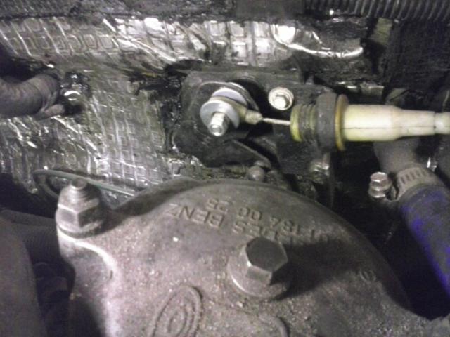 CAM00166.jpg