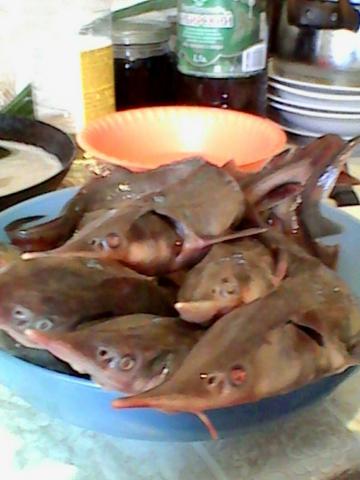 IMG-20180807-WA0002.jpg