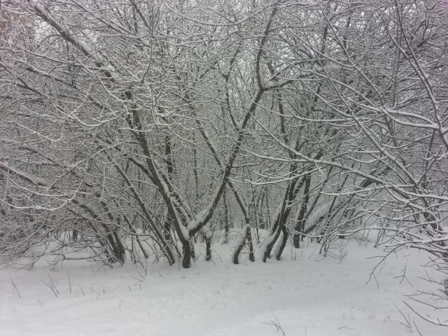 20180131_155320.jpg