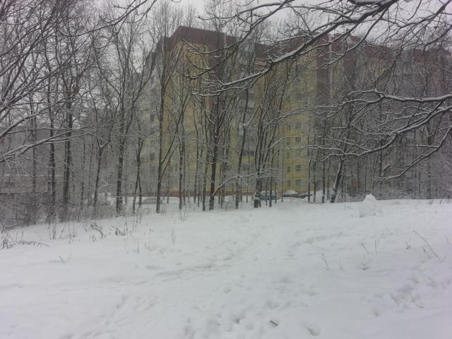 20180131_161625.jpg