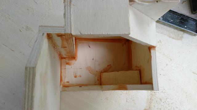 DSC_5455.JPG