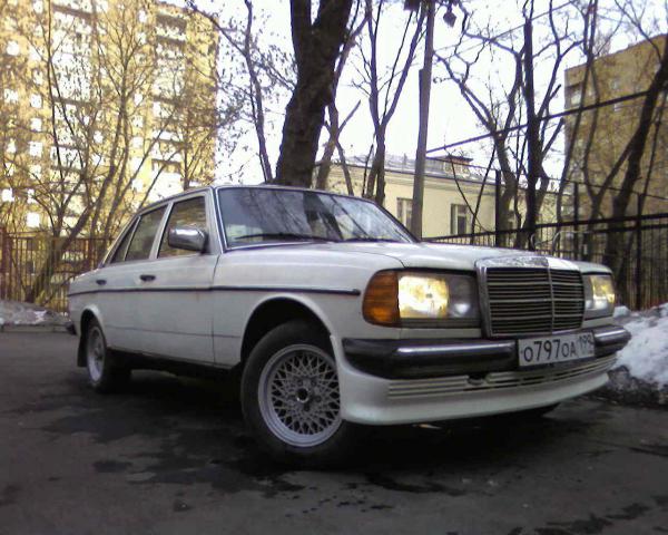 SP_A0487.jpg