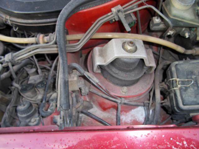 100_4431.JPG