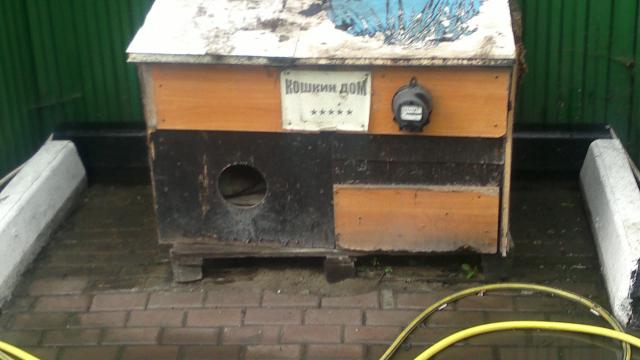 2014_08_27_754.jpg