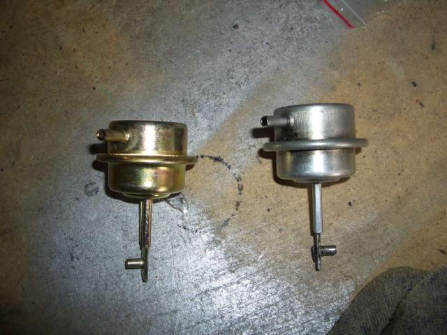 CIMG8975.jpg
