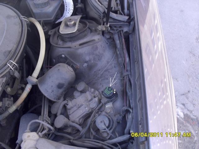 SDC10579.JPG