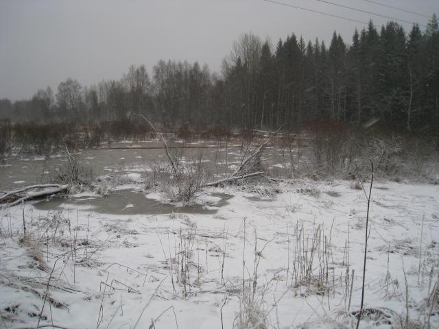 IMG_5049.JPG