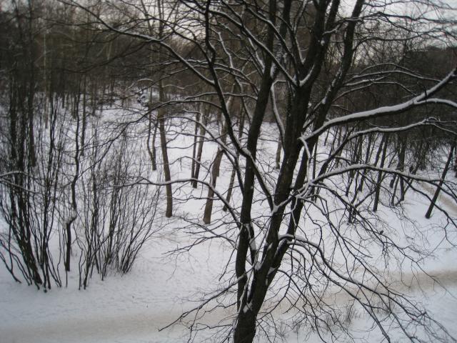 IMG_6113.JPG