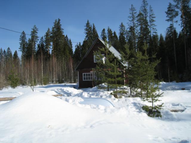 IMG_6773.JPG