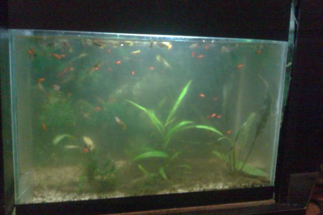 IMAG0857.jpg