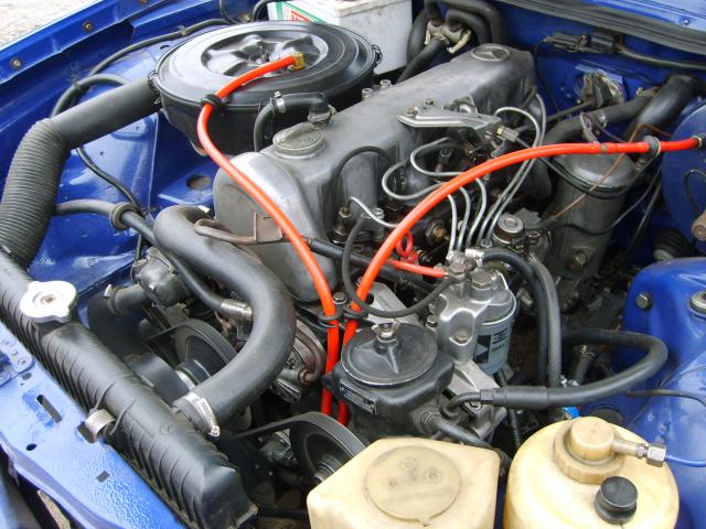 S5000822.JPG