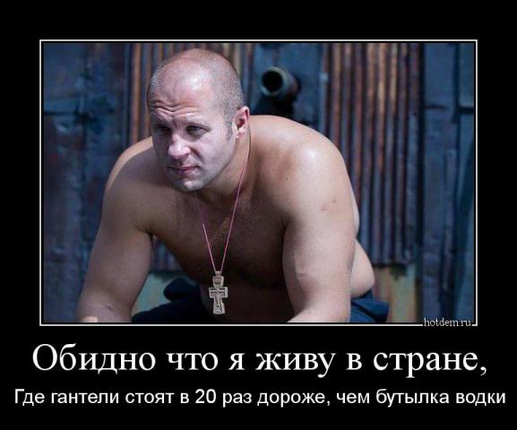 hotdem_ru_563740270480524515615.jpg