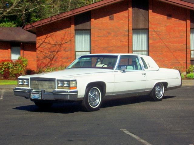 38473280009_large.jpg