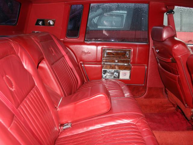 88cd6d7d18a55c51_large.jpg