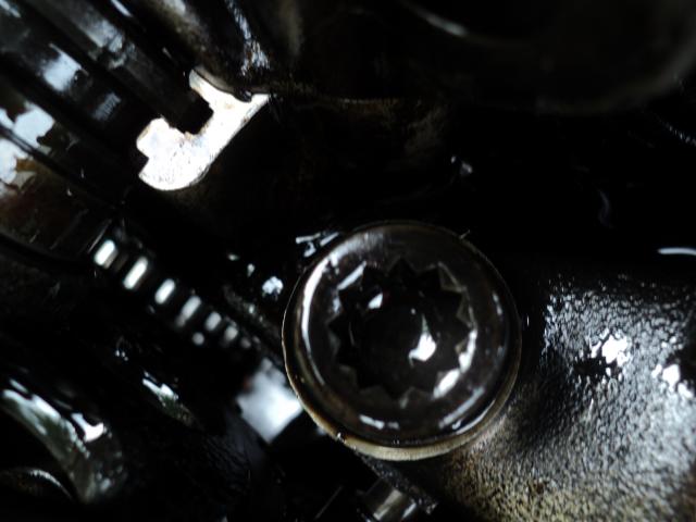 DSC03839.JPG