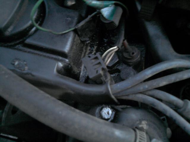 P101211_17.17__01_.jpg