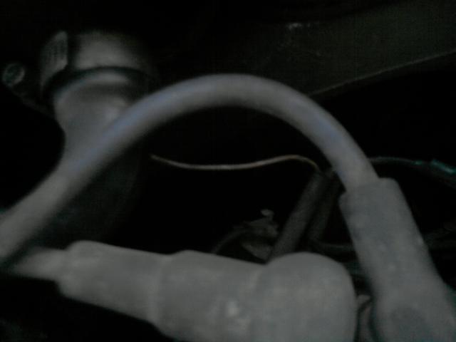 P101211_17.17__02_.jpg