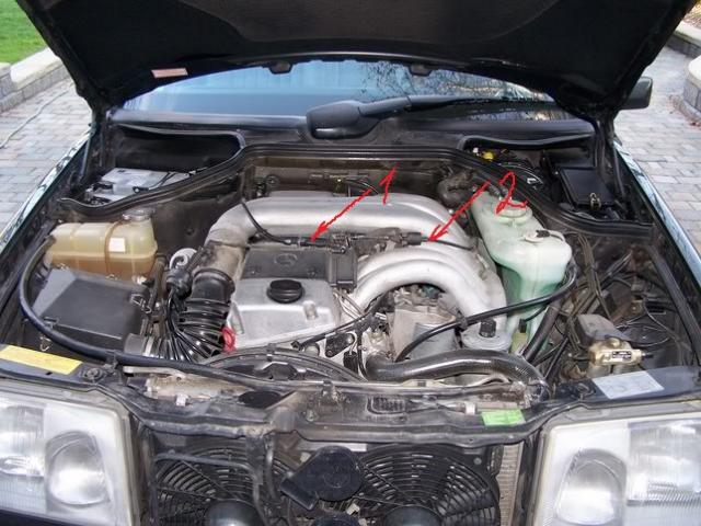 000_0310.jpg