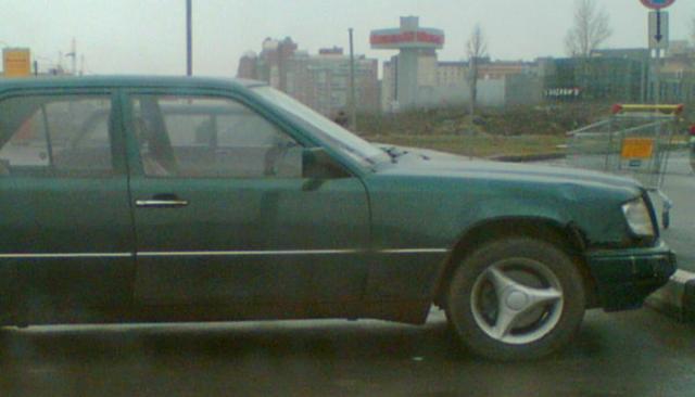 231.JPG
