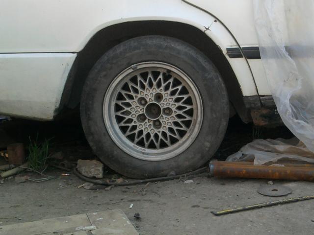 ____0257.jpg