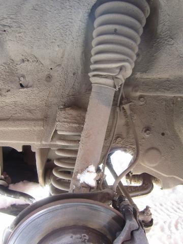 Resize_of_IMG_2903.JPG