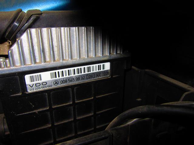 IMG_2290.JPG