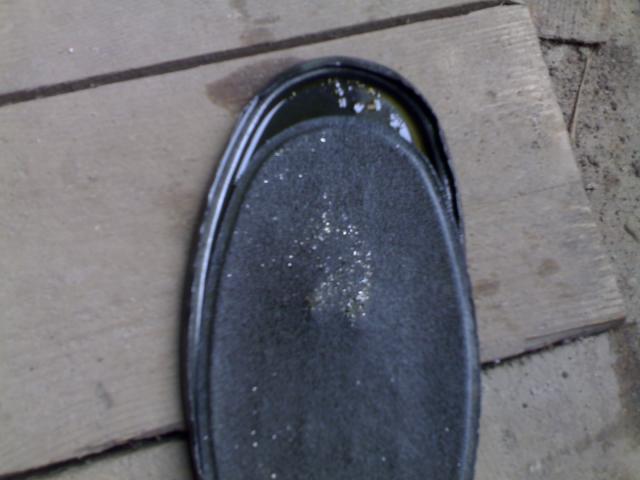 16102011187.jpg