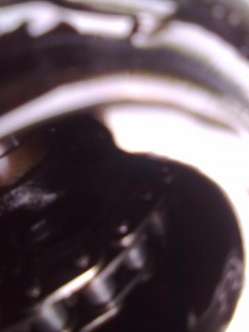 15072011083.jpg