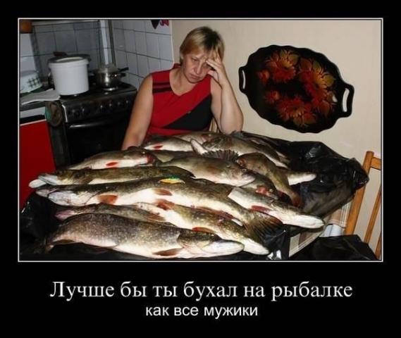 reEAhxvP4kM.jpg