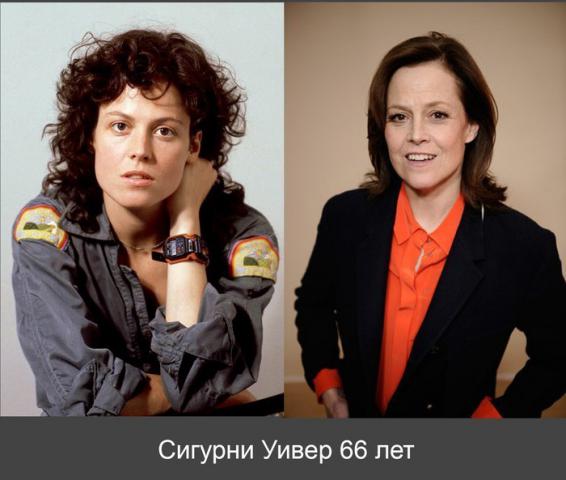 H9xsXGfql8c.jpg