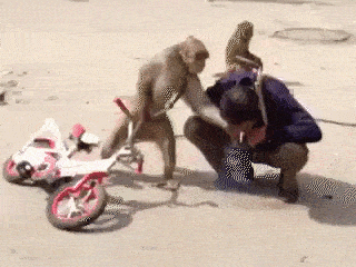 1447419095_1151381391.gif