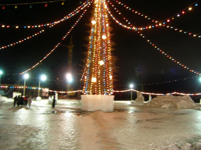P1135221.JPG